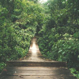Finding answers through the world around you